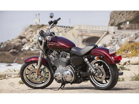 2014 Harley-Davidson Sportster® SuperLow® in Orange, Virginia - Photo 5