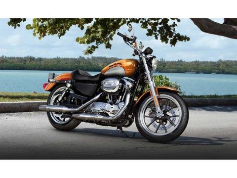 2014 Harley-Davidson Sportster® SuperLow® in Orange, Virginia - Photo 3