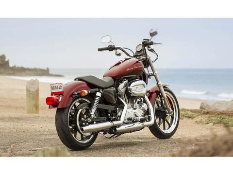 2014 Harley-Davidson Sportster® SuperLow® in Orange, Virginia - Photo 8
