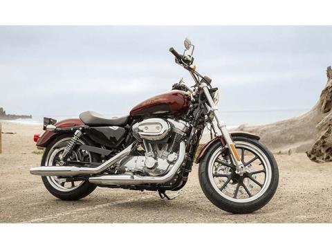 2014 Harley-Davidson Sportster® SuperLow® in Monroe, Michigan - Photo 16