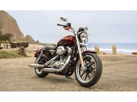 2014 Harley-Davidson Sportster® SuperLow® in Monroe, Michigan - Photo 17