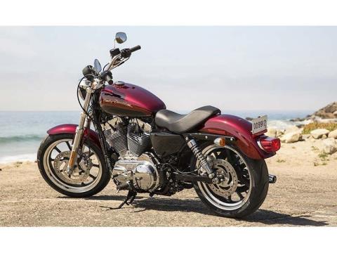 2014 Harley-Davidson Sportster® SuperLow® in Woodinville, Washington - Photo 15