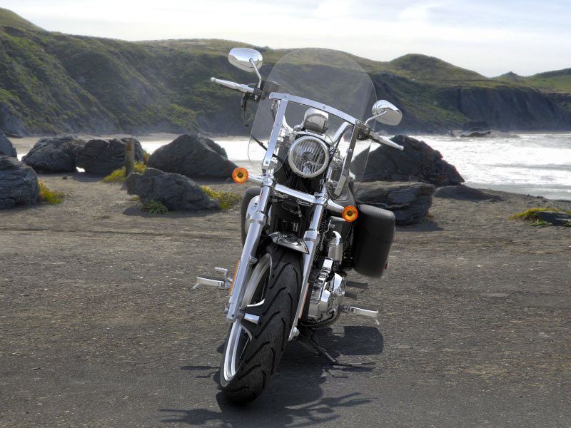 2014 Harley-Davidson SuperLow® 1200T in New York Mills, New York - Photo 8