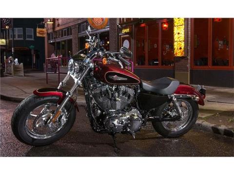2015 Harley-Davidson 1200 Custom in Syracuse, New York - Photo 8