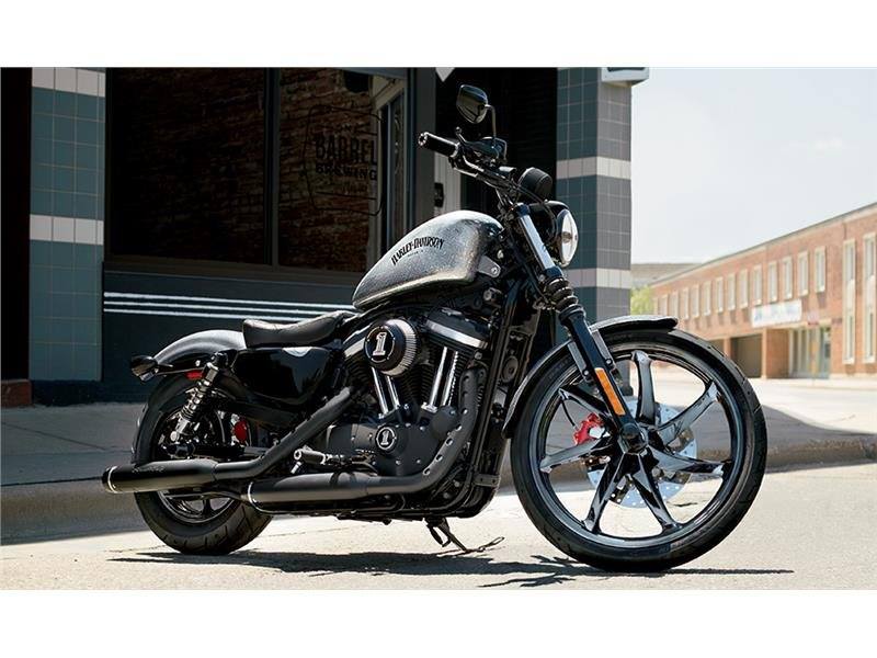 2015 Harley-Davidson Iron 883™ in Leominster, Massachusetts - Photo 3