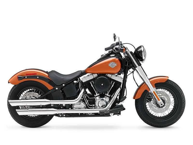 2015 Harley-Davidson Softail Slim® in San Jose, California - Photo 7