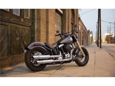 2015 Harley-Davidson Softail Slim® in Knoxville, Tennessee - Photo 8