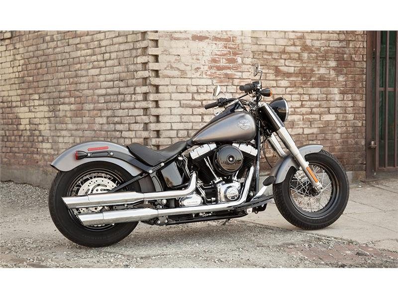 2015 Harley-Davidson Softail Slim® in Knoxville, Tennessee - Photo 11