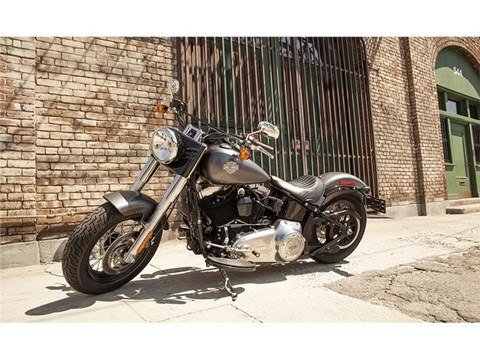2015 Harley-Davidson Softail Slim® in Knoxville, Tennessee - Photo 10