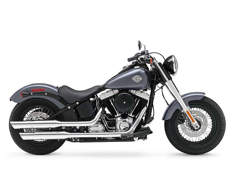 2015 Harley-Davidson Softail Slim® in Knoxville, Tennessee - Photo 6