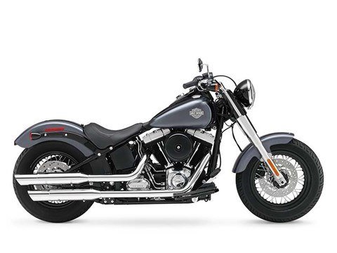 2015 Harley-Davidson Softail Slim® in Washington, Utah - Photo 9