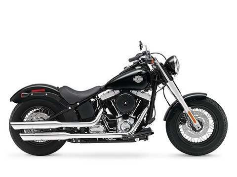 2015 Harley-Davidson Softail Slim® in Marlboro, New York - Photo 1