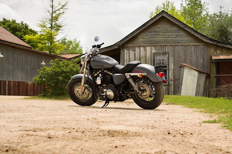 2016 Harley-Davidson 1200 Custom in Shorewood, Illinois - Photo 2