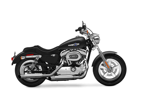 2016 Harley-Davidson 1200 Custom in Sandy, Utah - Photo 1