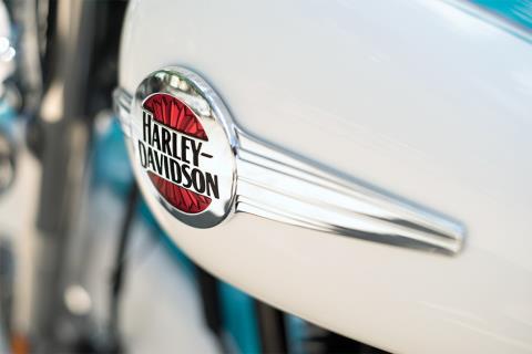 2016 Harley-Davidson Heritage Softail® Classic in Kingwood, Texas - Photo 8