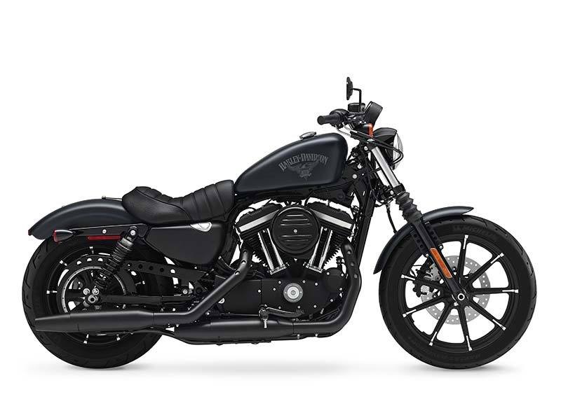 2016 Harley-Davidson Iron 883™ in San Antonio, Texas - Photo 12