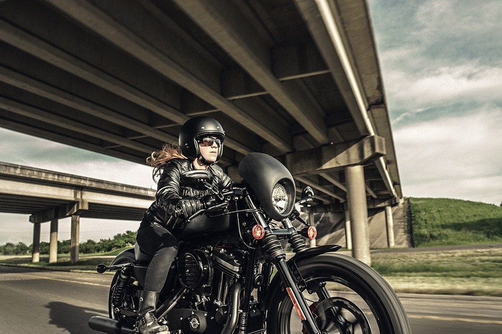 2016 Harley-Davidson Iron 883™ in Clarksville, Tennessee - Photo 8