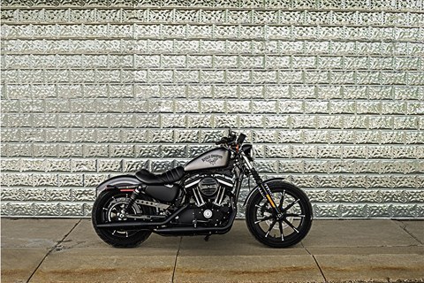 2016 Harley-Davidson Iron 883™ in Versailles, Indiana - Photo 15