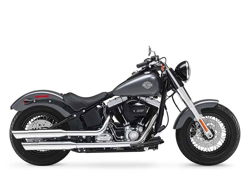 2016 Harley-Davidson Softail Slim® in Sanford, Florida - Photo 28