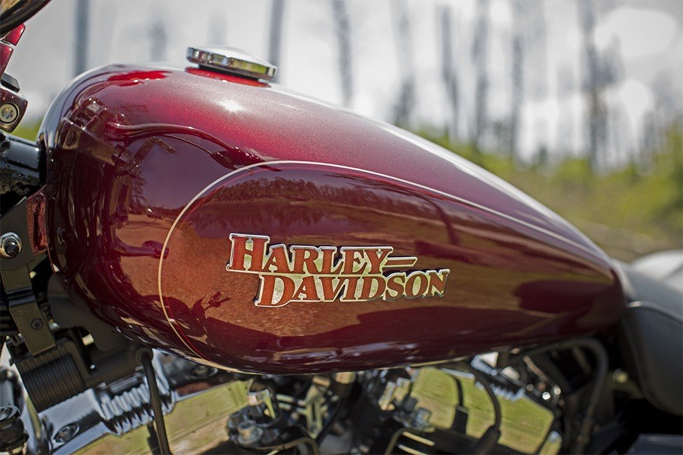 2016 Harley-Davidson SuperLow® 1200T in Franklin, Tennessee - Photo 10