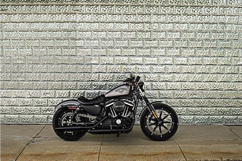 2017 Harley-Davidson Iron 883™ in Grand Prairie, Texas - Photo 4