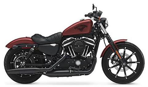 2017 Harley-Davidson Iron 883™ in Omaha, Nebraska - Photo 1