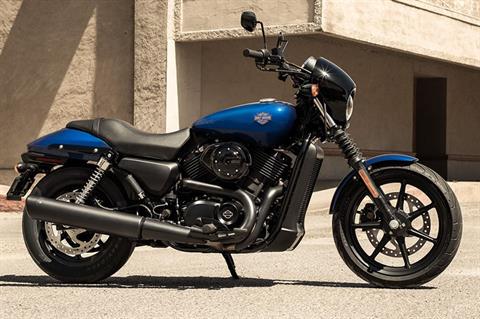 New 2019 Harley  Davidson  Street   500  Motorcycles in 