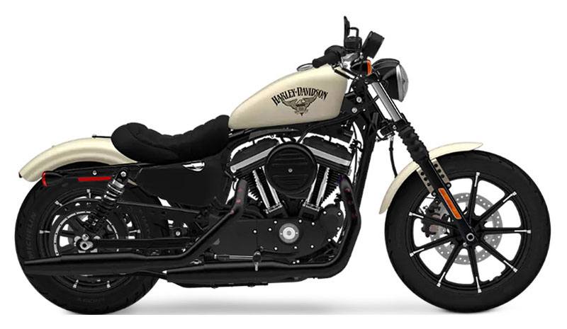 2019 Harley  Davidson  Iron  883   Motorcycles Broadalbin New 