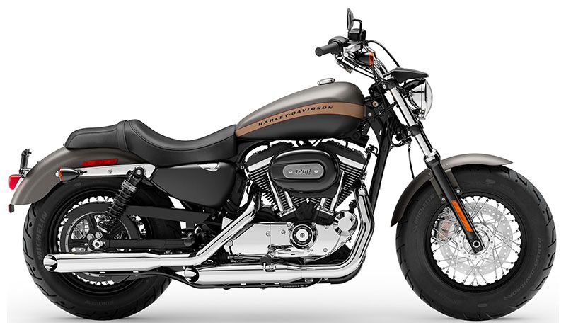 2019 Harley-Davidson 1200 Custom in Sacramento, California - Photo 1