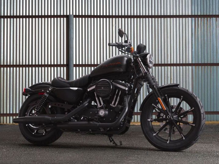 New 2019  Harley  Davidson  Iron  883   Motorcycles in 