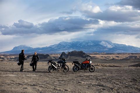 2021 Harley-Davidson Pan America™ Special in Vernal, Utah - Photo 13