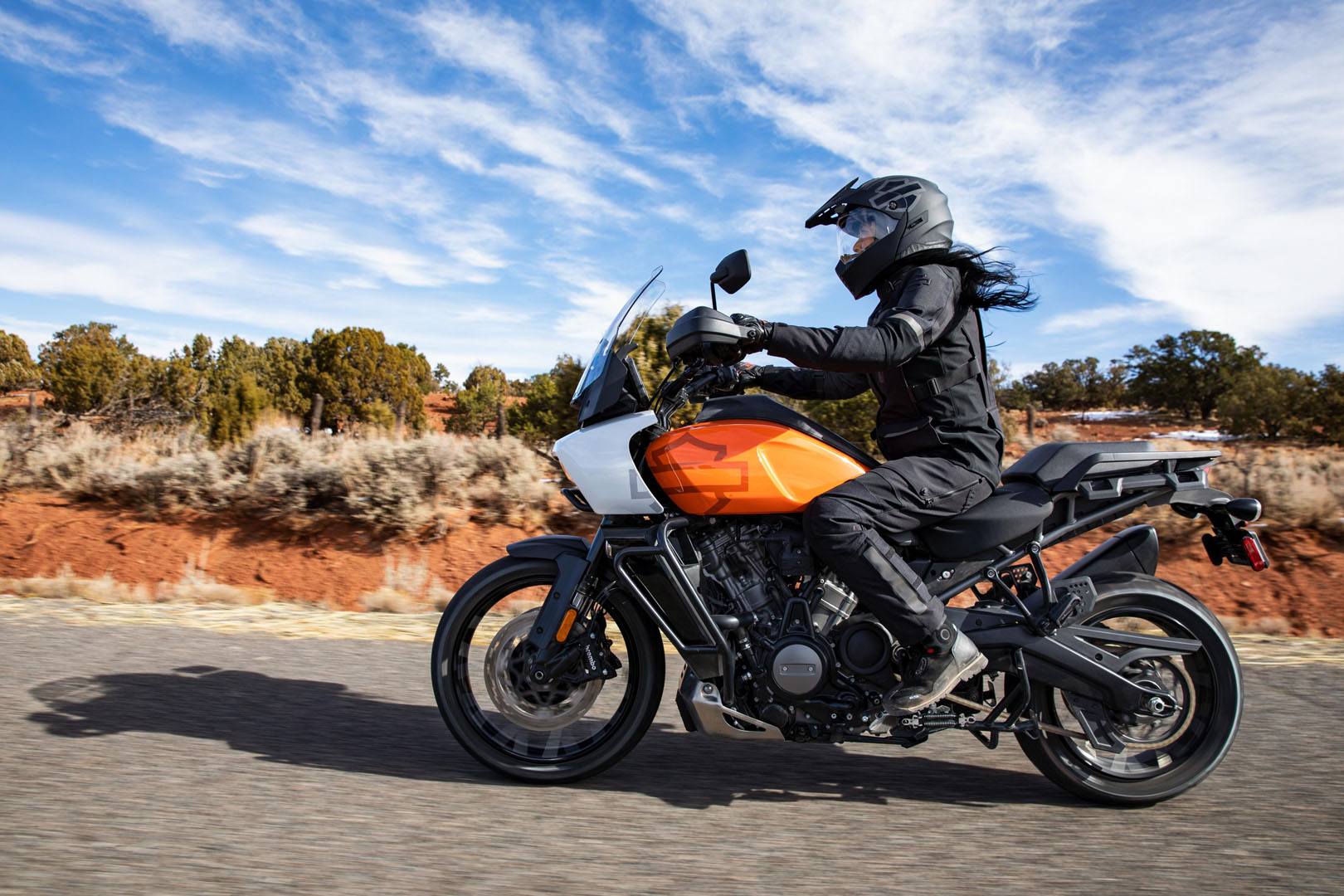 2021 Harley-Davidson Pan America™ Special in Bellemont, Arizona - Photo 19