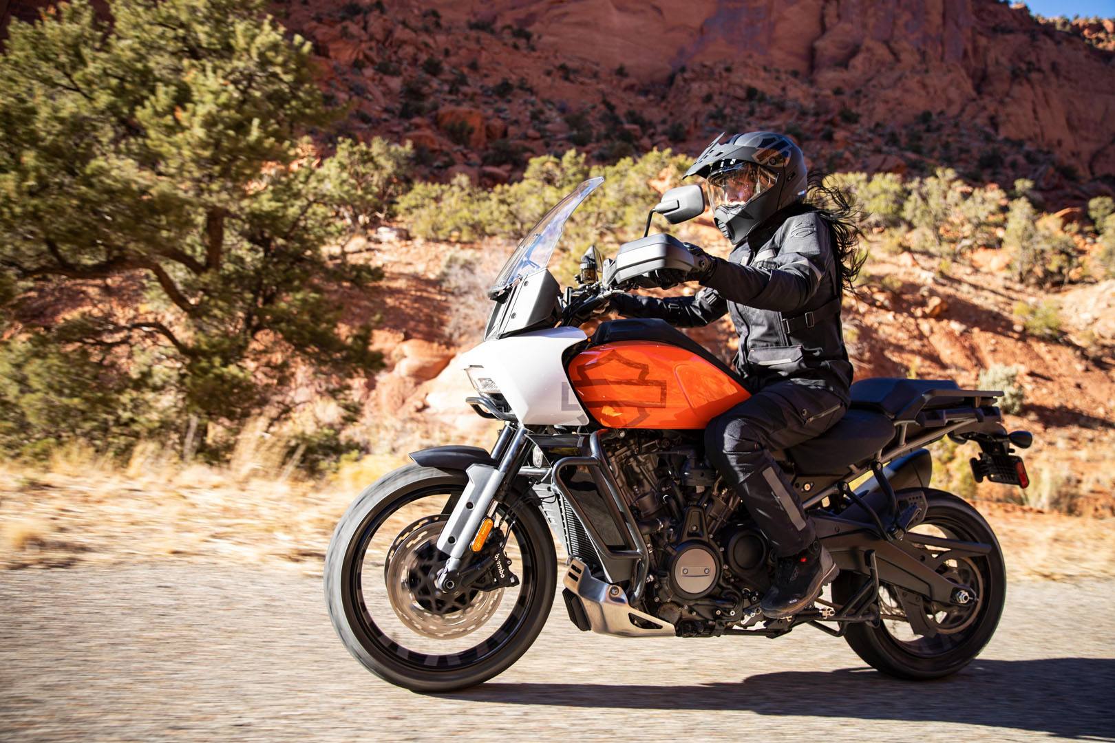 2021 Harley-Davidson Pan America™ Special in Colorado Springs, Colorado - Photo 18