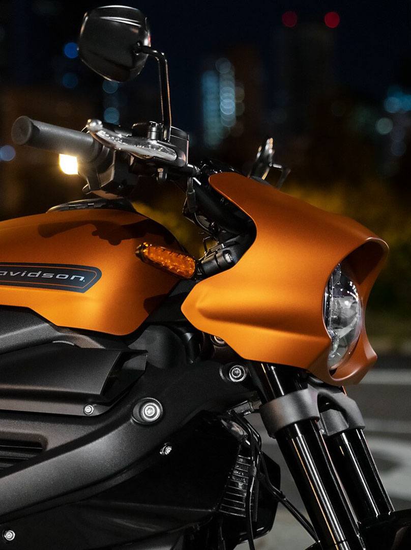 2021 Harley-Davidson Livewire™ in Cayuta, New York - Photo 3