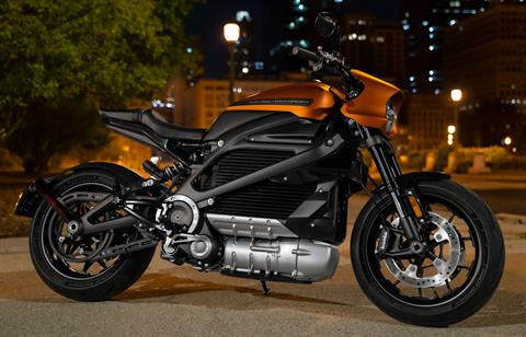 2021 Harley-Davidson Livewire™ in Knoxville, Tennessee - Photo 2
