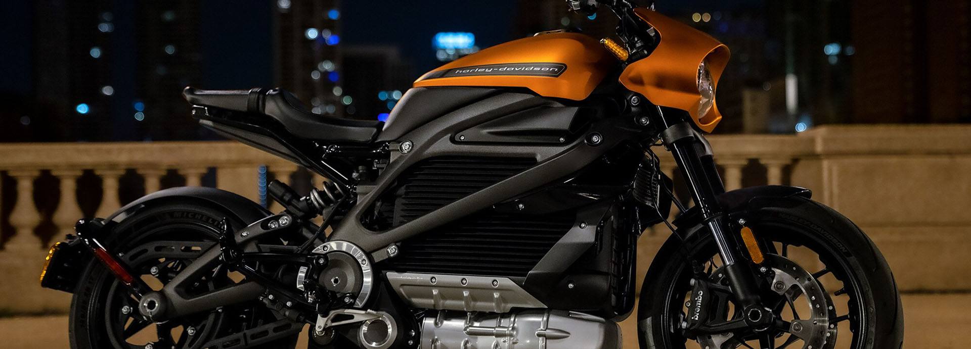 2021 Harley-Davidson Livewire™ in Waterloo, Iowa