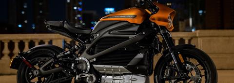 2021 Harley-Davidson Livewire™ in New London, Connecticut - Photo 4