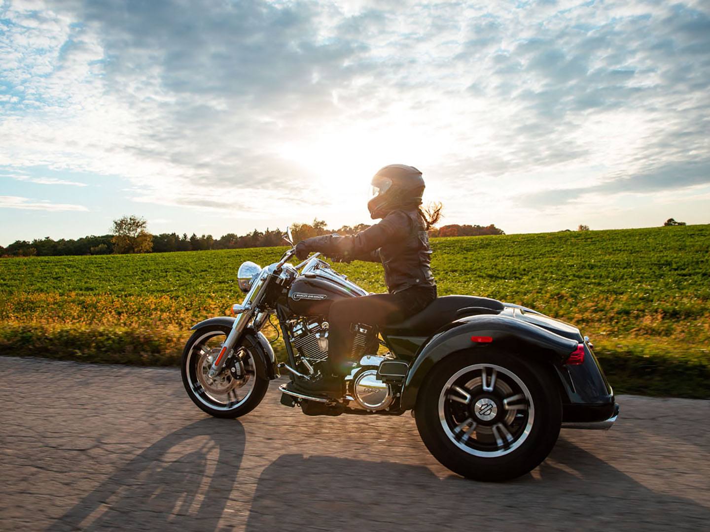2021 Harley-Davidson Freewheeler® in Mount Vernon, Illinois - Photo 10