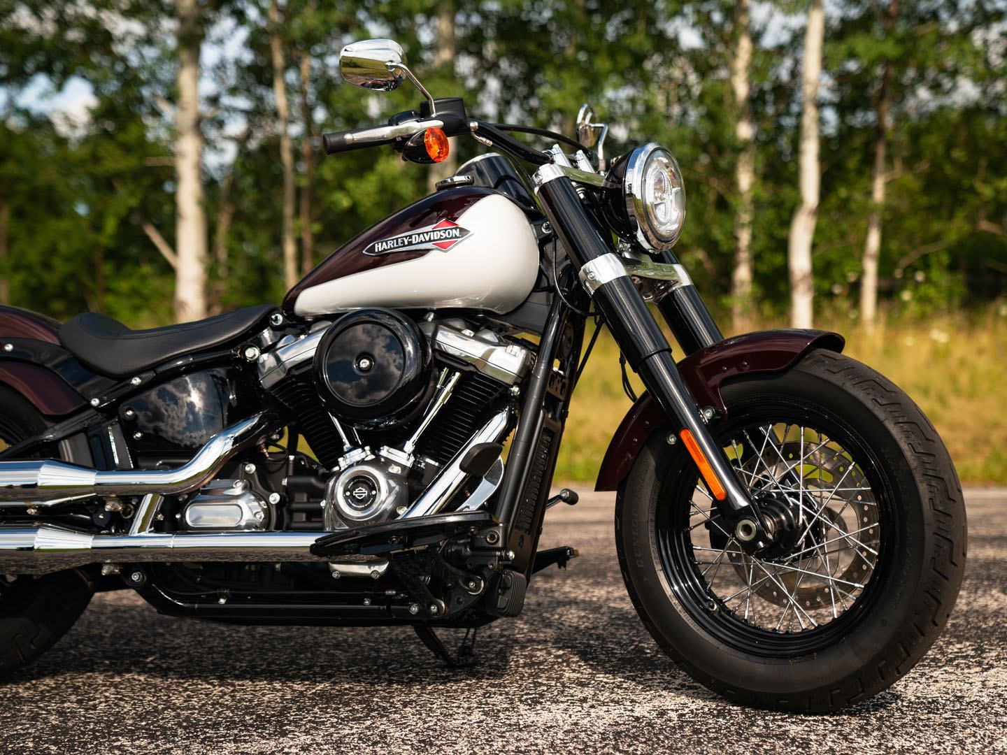 2021 Harley-Davidson Softail Slim® in Kingwood, Texas - Photo 6