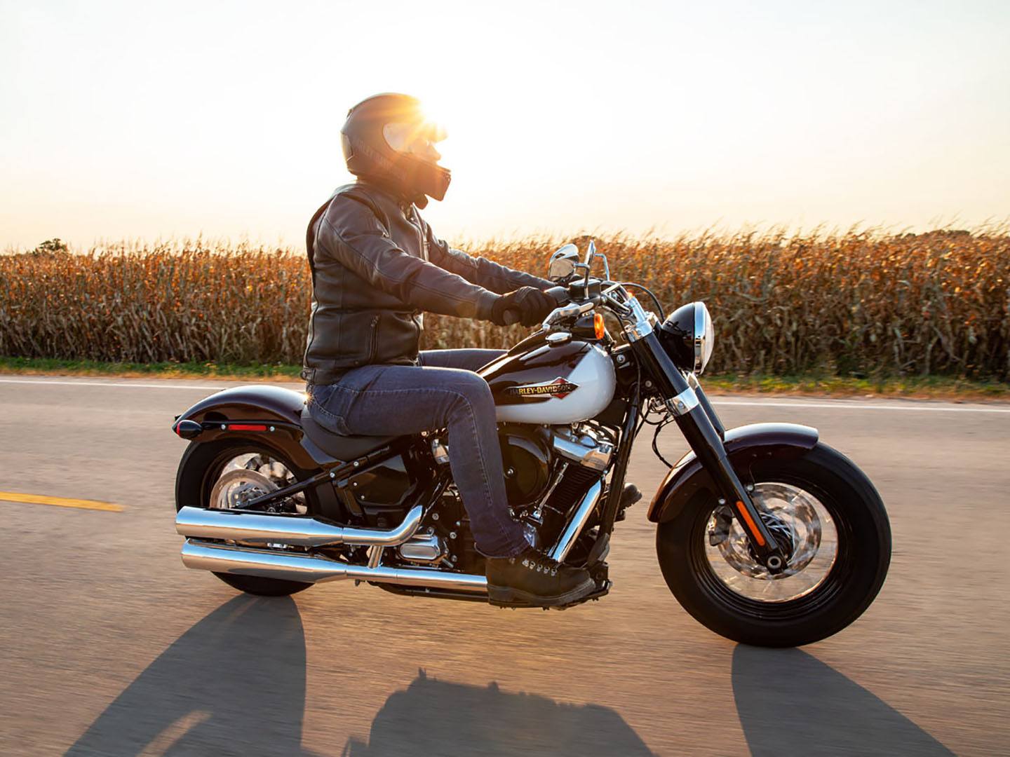 2021 Harley-Davidson Softail Slim® in Orange, Virginia