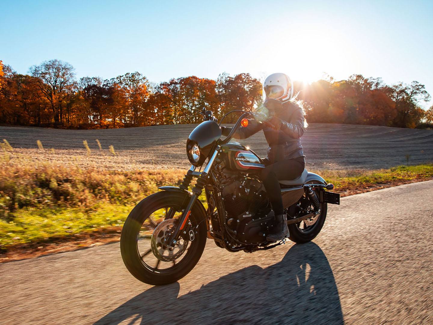 2021 Harley-Davidson Iron 1200™ in Lynchburg, Virginia - Photo 10