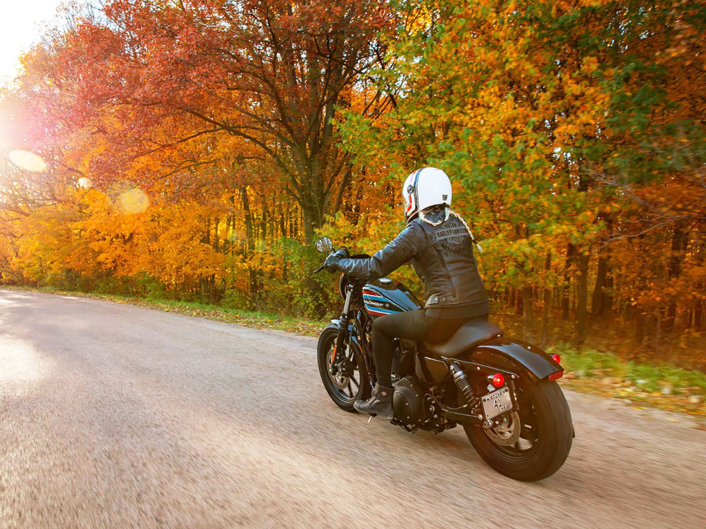 2021 Harley-Davidson Iron 1200™ in Leominster, Massachusetts - Photo 11