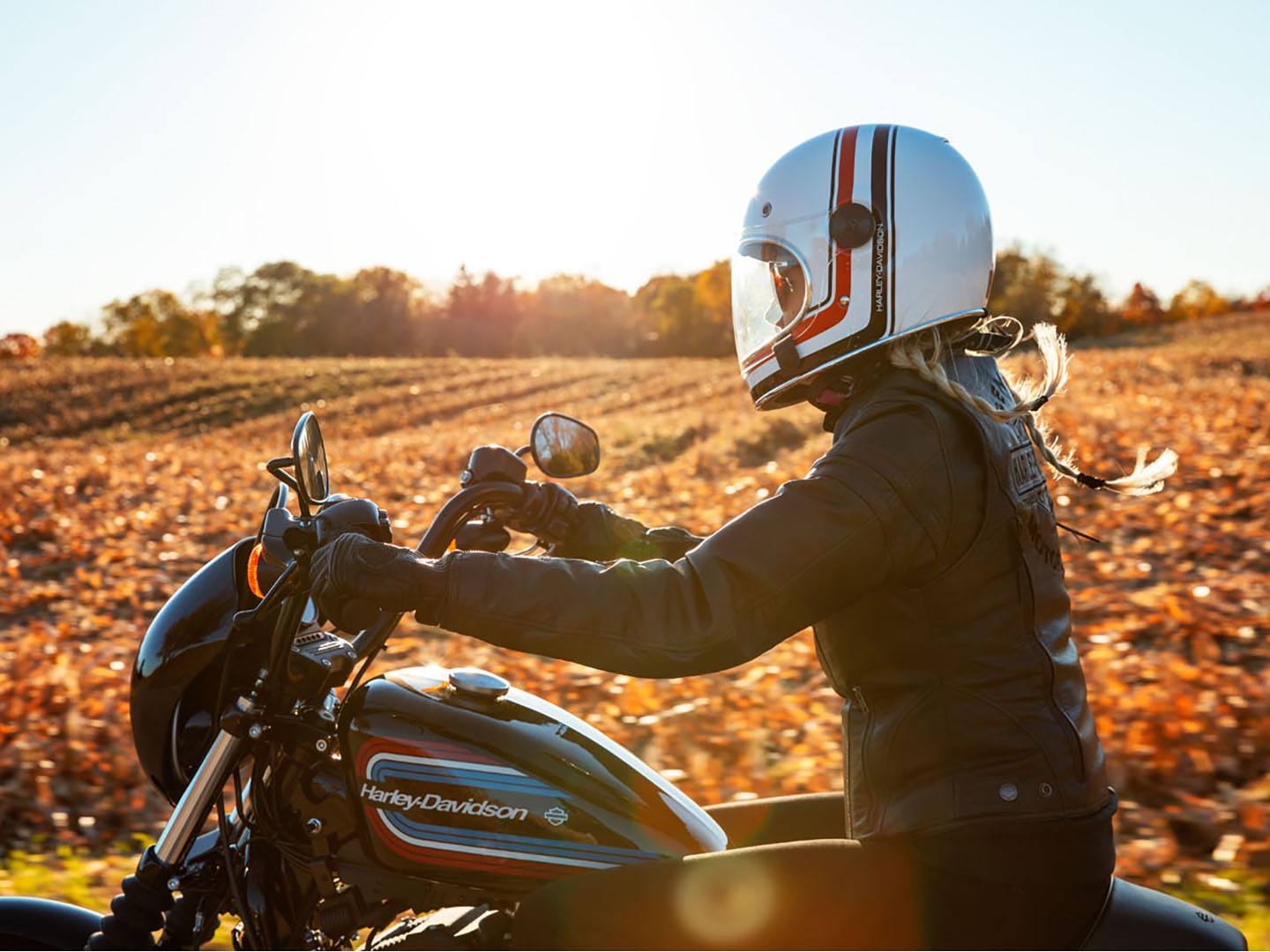 2021 Harley-Davidson Iron 1200™ in Colorado Springs, Colorado - Photo 12