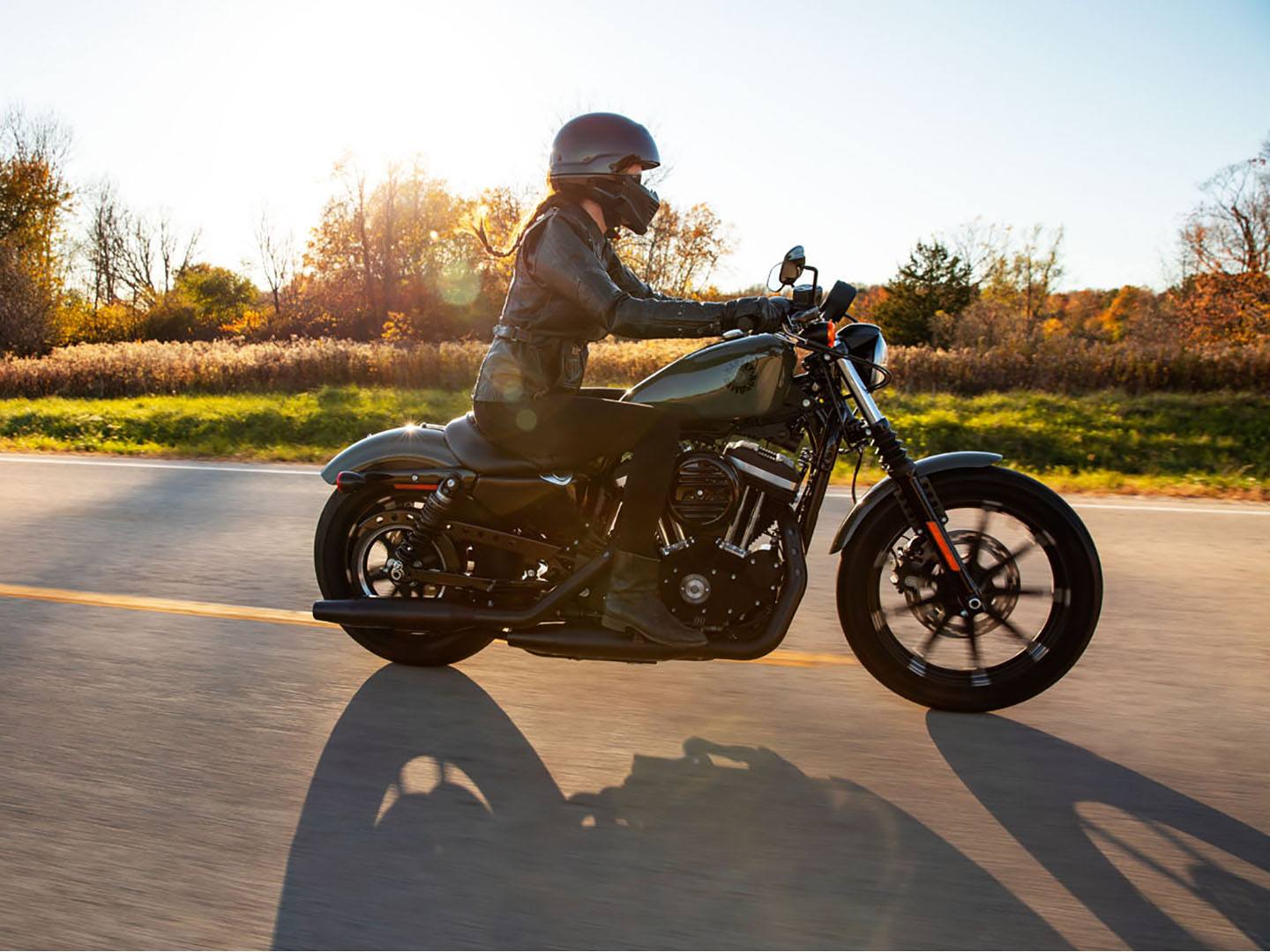 2021 Harley-Davidson Iron 883™ in Osceola, Iowa