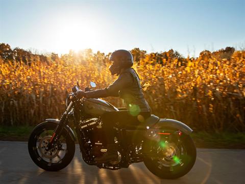2021 Harley-Davidson Iron 883™ in Green River, Wyoming - Photo 19