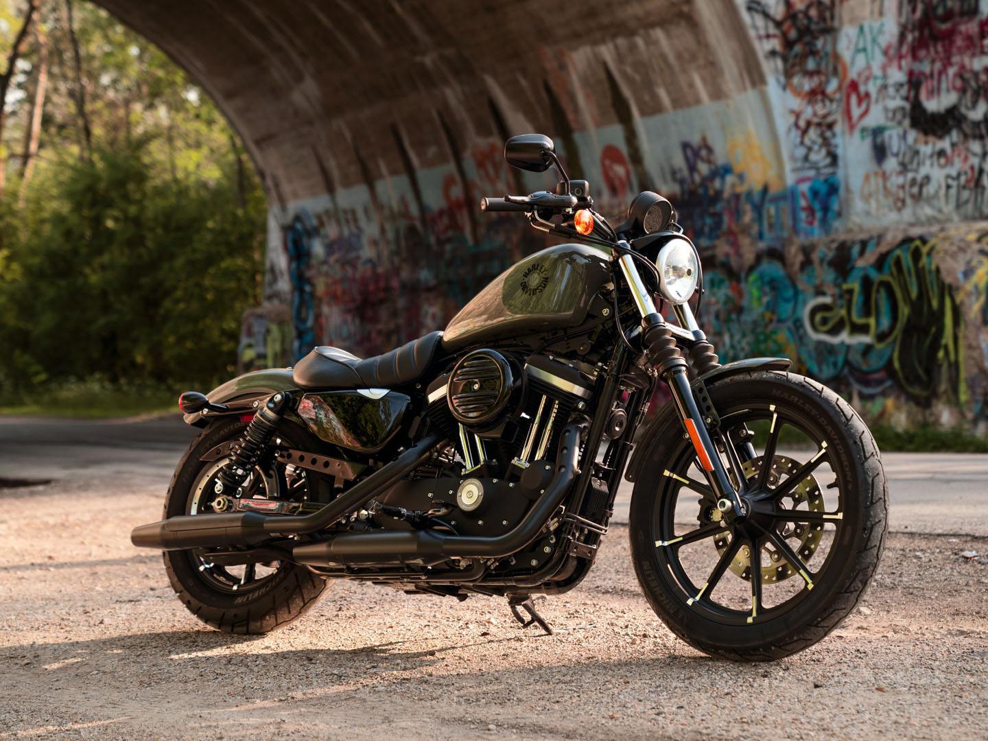 2021 Harley-Davidson Iron 883™ in Fredericksburg, Virginia - Photo 7