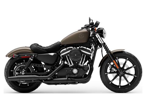 2021 Harley-Davidson Iron 883™ in Osceola, Iowa - Photo 1
