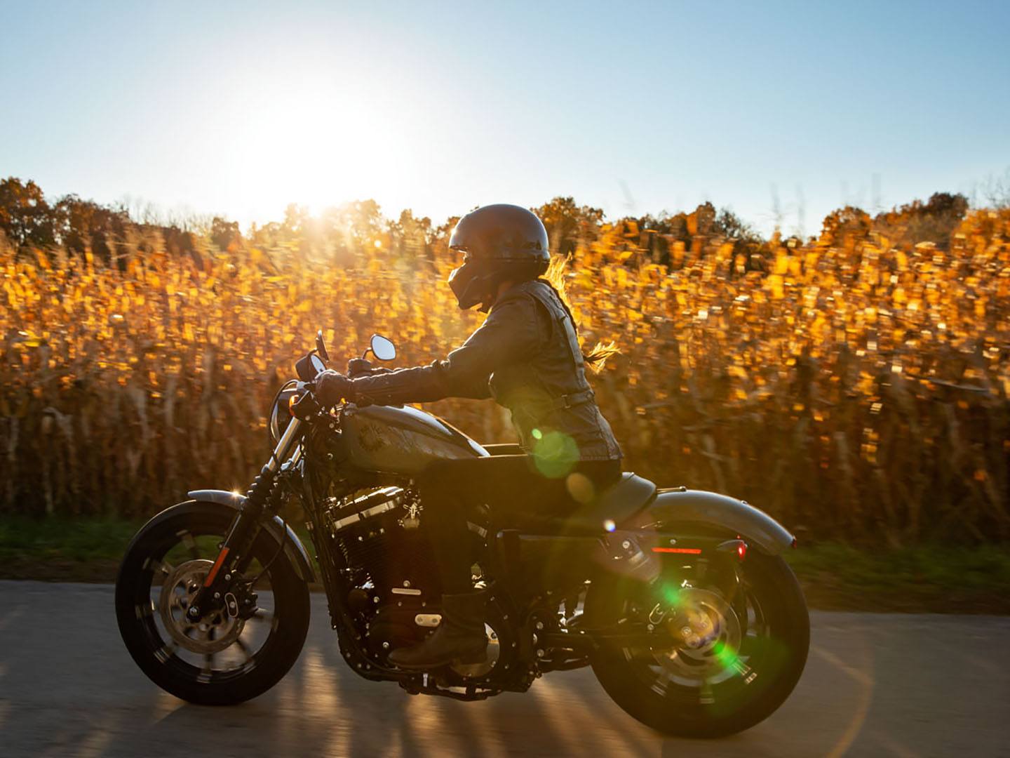 2021 Harley-Davidson Iron 883™ in Colorado Springs, Colorado - Photo 19