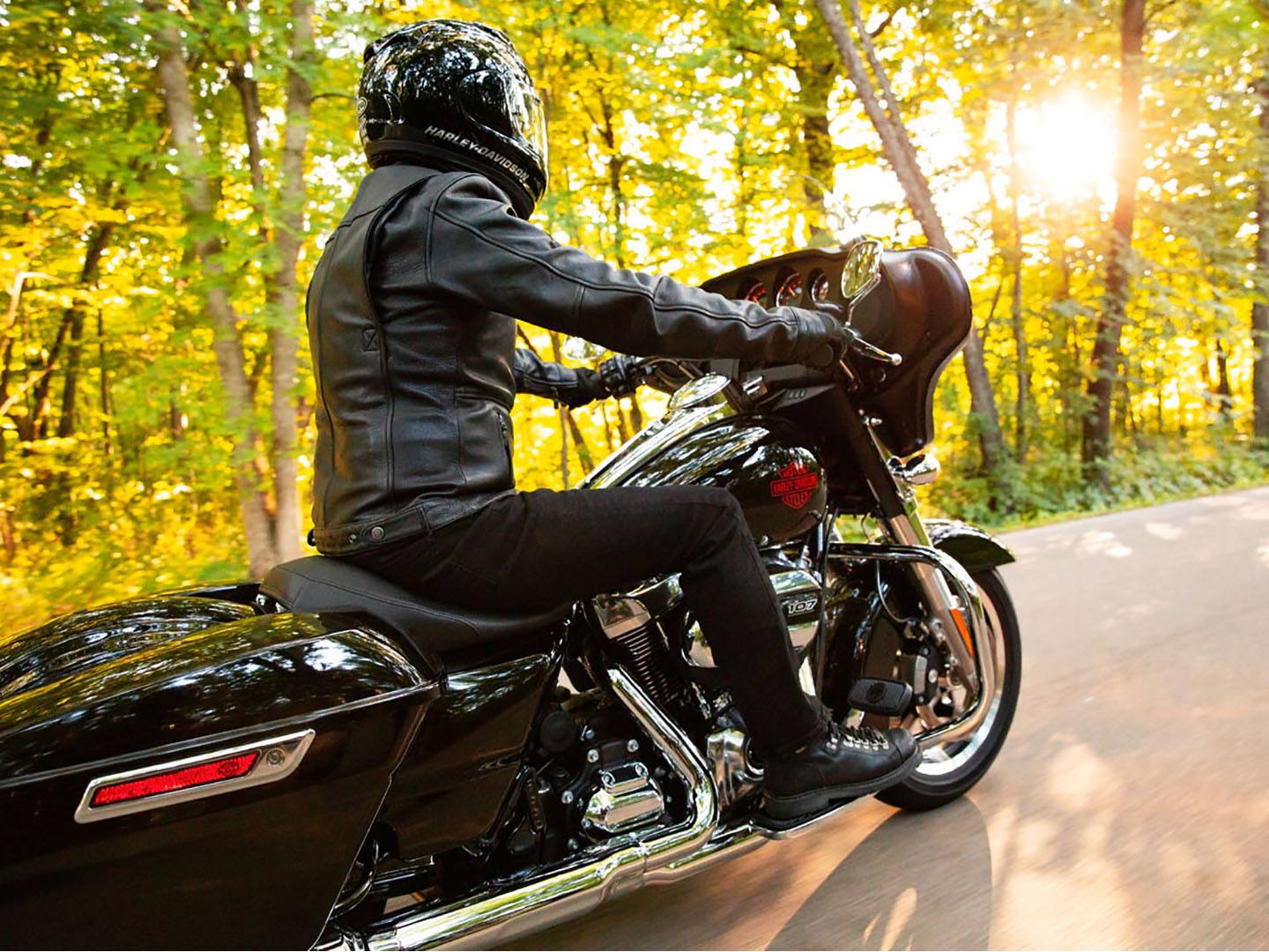 2021 Harley-Davidson Electra Glide® Standard in Muncie, Indiana - Photo 8