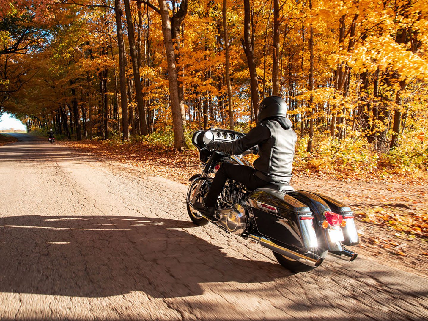 2021 Harley-Davidson Electra Glide® Standard in Omaha, Nebraska - Photo 14